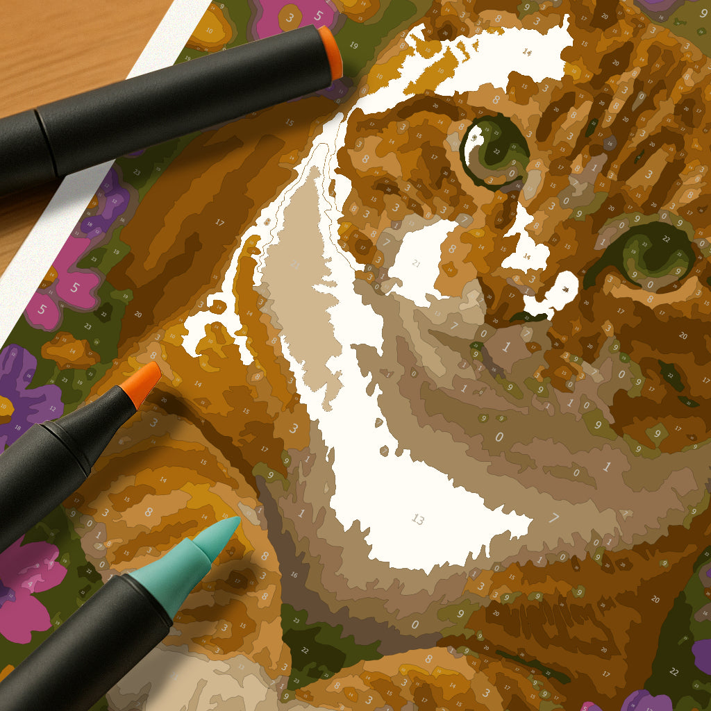 Kit Paint by Number - gato (60 x 40 cm)