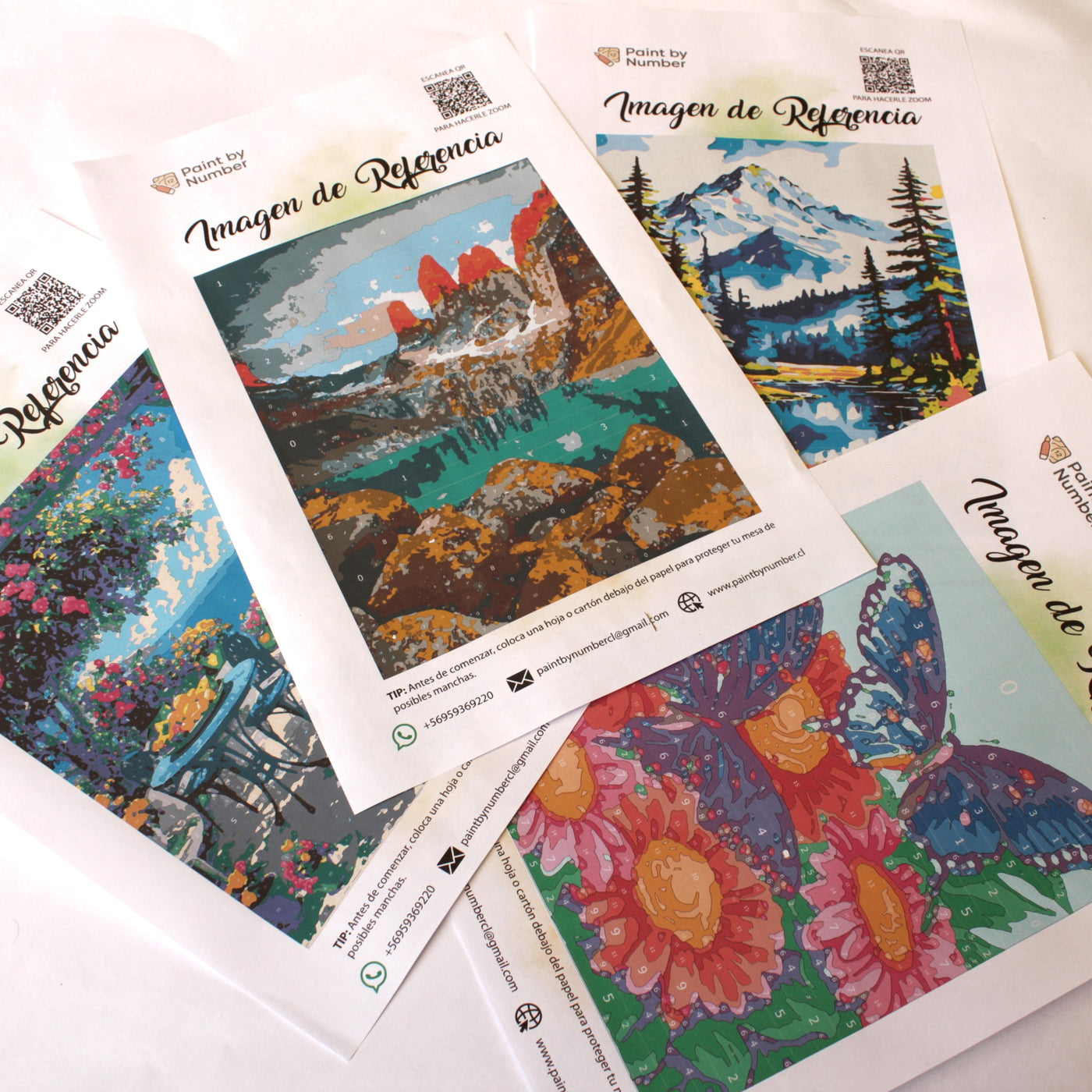 Pack Paint by Number con marcadores incluidos