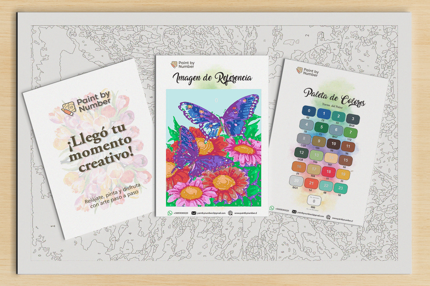 Lámina Paint by Number - Mariposa (60 x 40cm) Sin marcadores