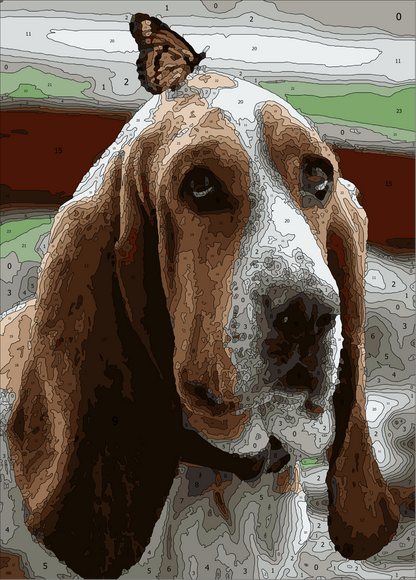 Kit Paint by Number - Basset Mariposa (60 x 40cm)